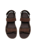 Clarks Guideview Trek / MARRON