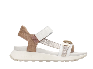 Hispanitas CHV264679 / BICOLOR