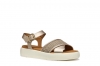 Geox D550NF / CHAMPAGNE