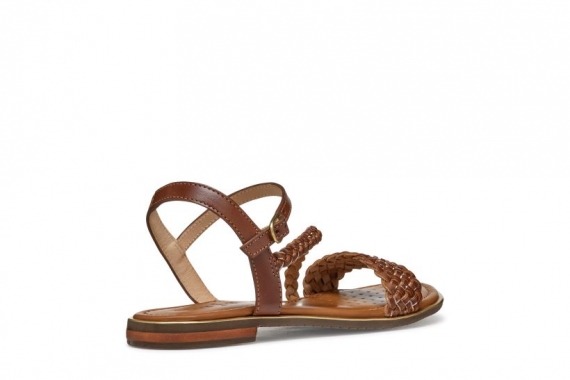 Geox D55DQD / CAMEL