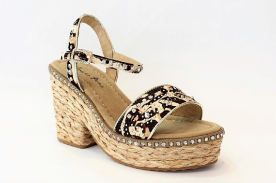 V20258 / CAMEL