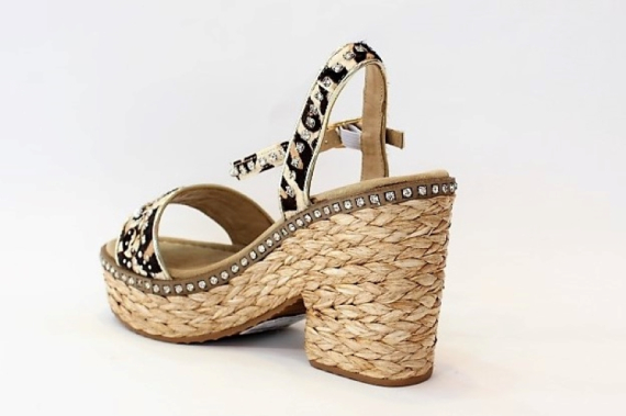 V20258 / CAMEL