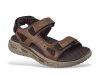 Skechers 211371 / MARRON