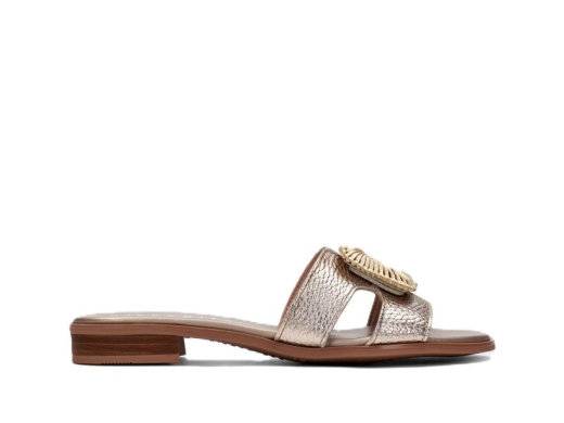 Hispanitas HV253881 / BRONZE