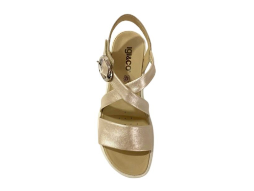 Igi&Co 11647 / PERLA