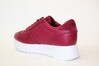 N00658 / GRANATE
