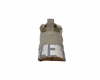 Voile Blanche CLUB105 / BEIG