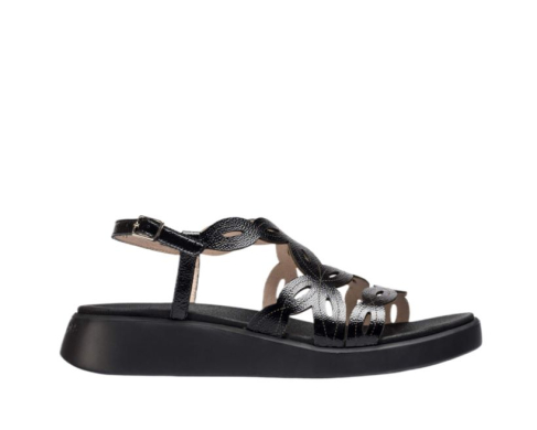 Wonders C-6542 / NEGRO