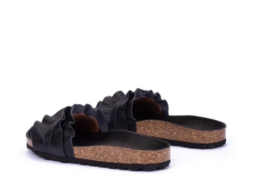 Verbenas Rocio / NEGRO