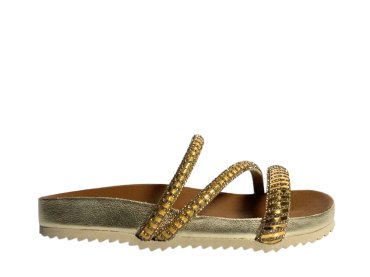 Verbenas Megan / ORO