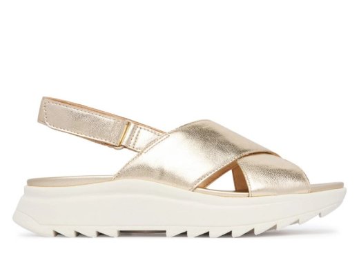 Clarks DashLite Wish / ORO