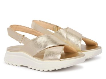 Clarks DashLite Wish / ORO