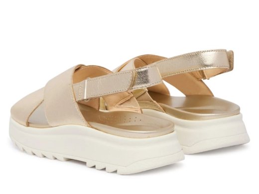 Clarks DashLite Wish / ORO