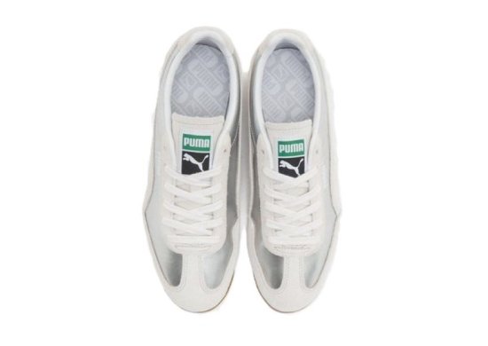Puma 403154 Arizona / PLATA