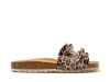 Verbenas Rocio / LEOPARDO