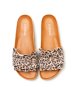 Verbenas Rocio / LEOPARDO