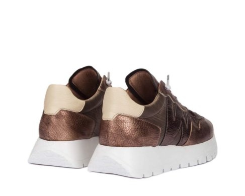 Wonders A-2491 / PLOMO