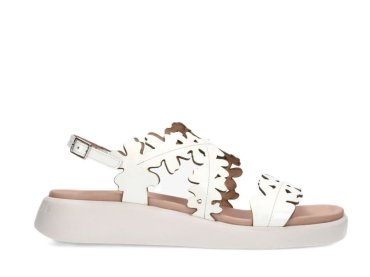 Wonders C-6551 / BLANCO