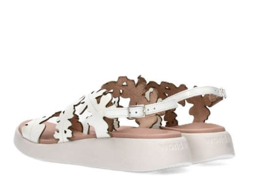 Wonders C-6551 / BLANCO