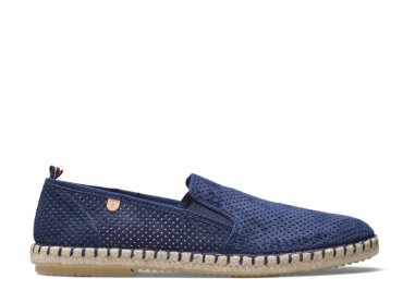 Verbenas Tom / AZUL