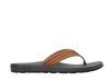 Tommy Hilfiger FM05802 / MARRON