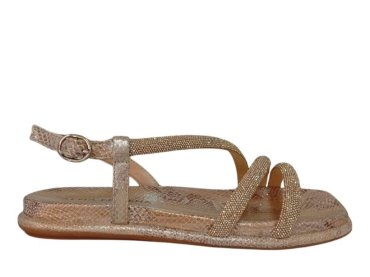 Alma en Pena 51507 / CAMEL