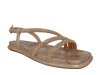 Alma en Pena 51507 / CAMEL