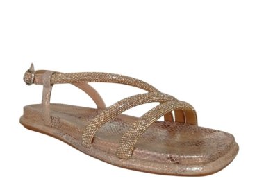 Alma en Pena 51507 / CAMEL