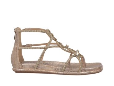 Alma en Pena 51501 / CAMEL