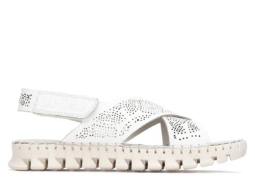 Carmela 16321606 / BLANCO