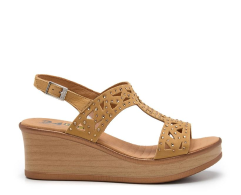 24 Horas 26793 / CAMEL