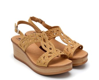 24 Horas 26793 / CAMEL