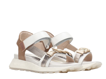 Hispanitas CHV264679 / BICOLOR