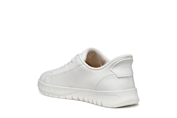 Geox  U65MAA 00022 / BLANCO
