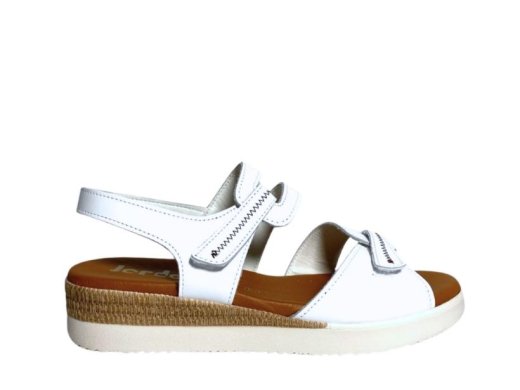 Jordana 681 / BLANCO