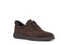 Geox  U664JA 00022 / MARRON