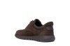 Geox  U664JA 00022 / MARRON