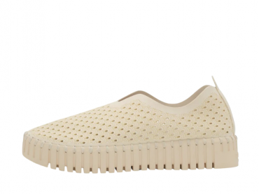 Ilse Jacobsen Tulip3373 / CREMA
