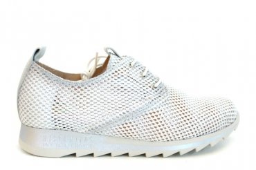HV98717 / BLANCO