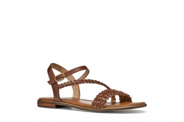 Geox D55DQD / CAMEL