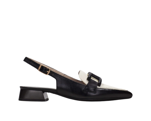 Hispanitas HV243299 / NEGRO