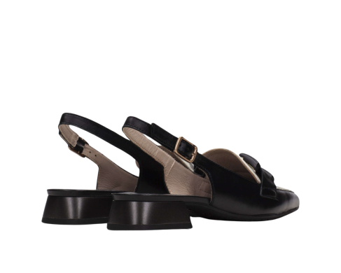 Hispanitas HV243299 / NEGRO