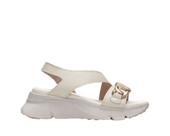 Hispanitas HV243304 / NATA