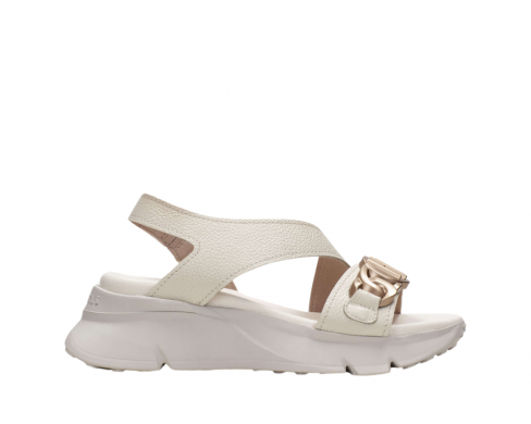 Hispanitas HV243304 / NATA