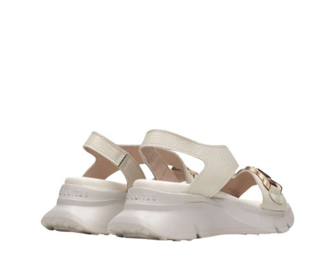 Hispanitas HV243304 / NATA