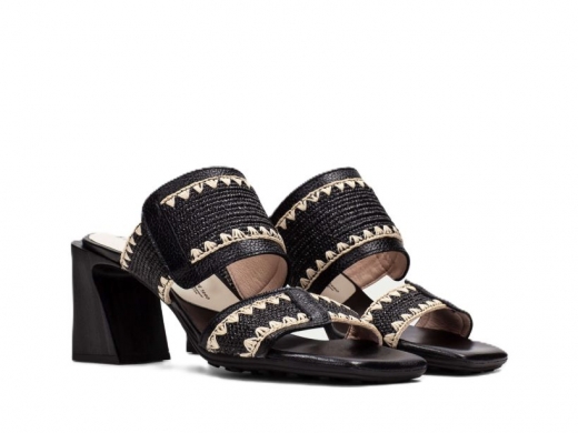 Hispanitas HV253946 / NEGRO