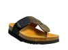 Scholl Tanisha / NEGRO