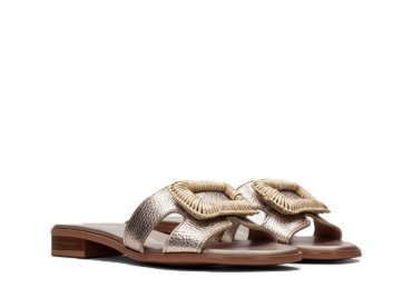 Hispanitas HV253881 / BRONZE