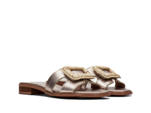 Hispanitas HV253881 / BRONZE