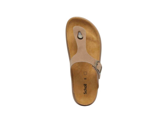 Scholl Anais Chunky / TAUPE